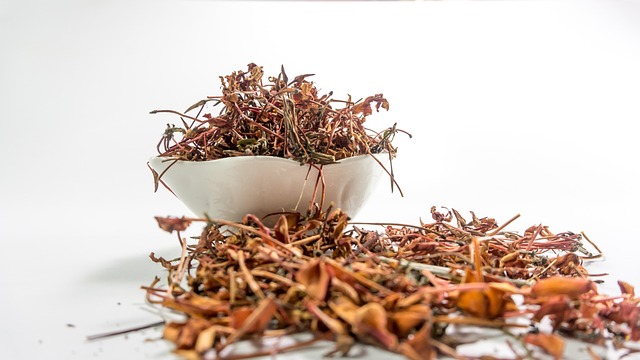 成分を知って安心！ノンカフェイン飲料の健康効果 - 授乳中のコーヒーの代わりに