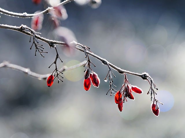 朝の顔むくみを即効で解消する方法 - 朝の顔むくみを即効で解消する方法