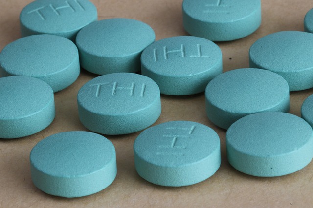 よもぎ茶の効果で妊活をサポートする理由 - 妊活中の冷えを腸から変える