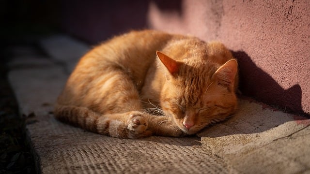 生理中に避けたい飲み物とは - 生理痛を緩和する飲み物