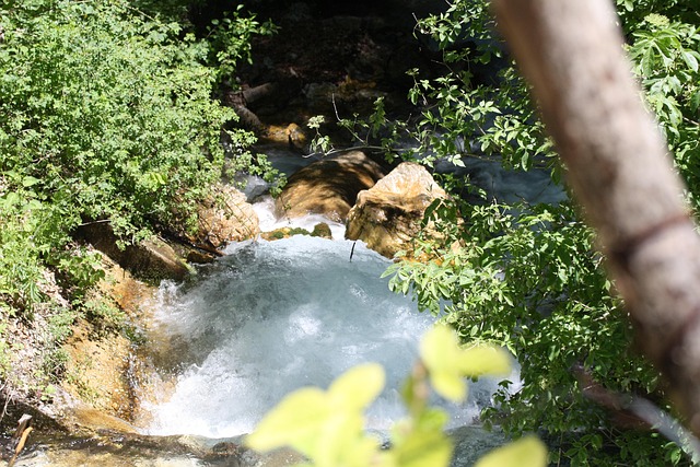 腸アプローチでストレスを軽減 - ストレスで腸が乱れる