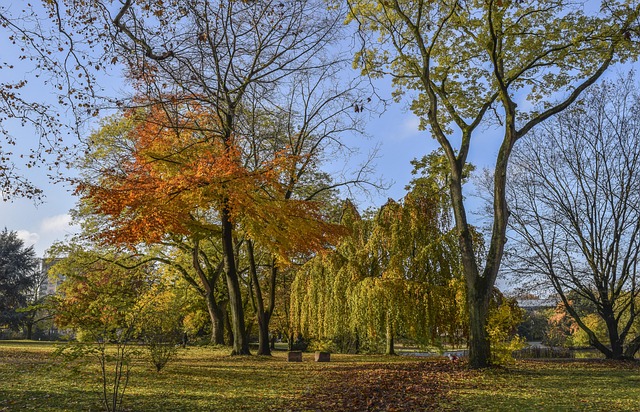 ストレスによる腸トラブルのメカニズム - ストレスで腸が乱れる