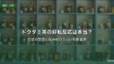 ドクダミ茶の好転反応は本当？症状の原因と判断基準