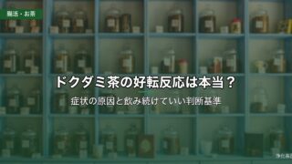 ドクダミ茶の好転反応は本当？症状の原因と判断基準