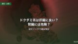 ドクダミ茶は肝臓に良い？腎臓には危険？研究データで徹底検証