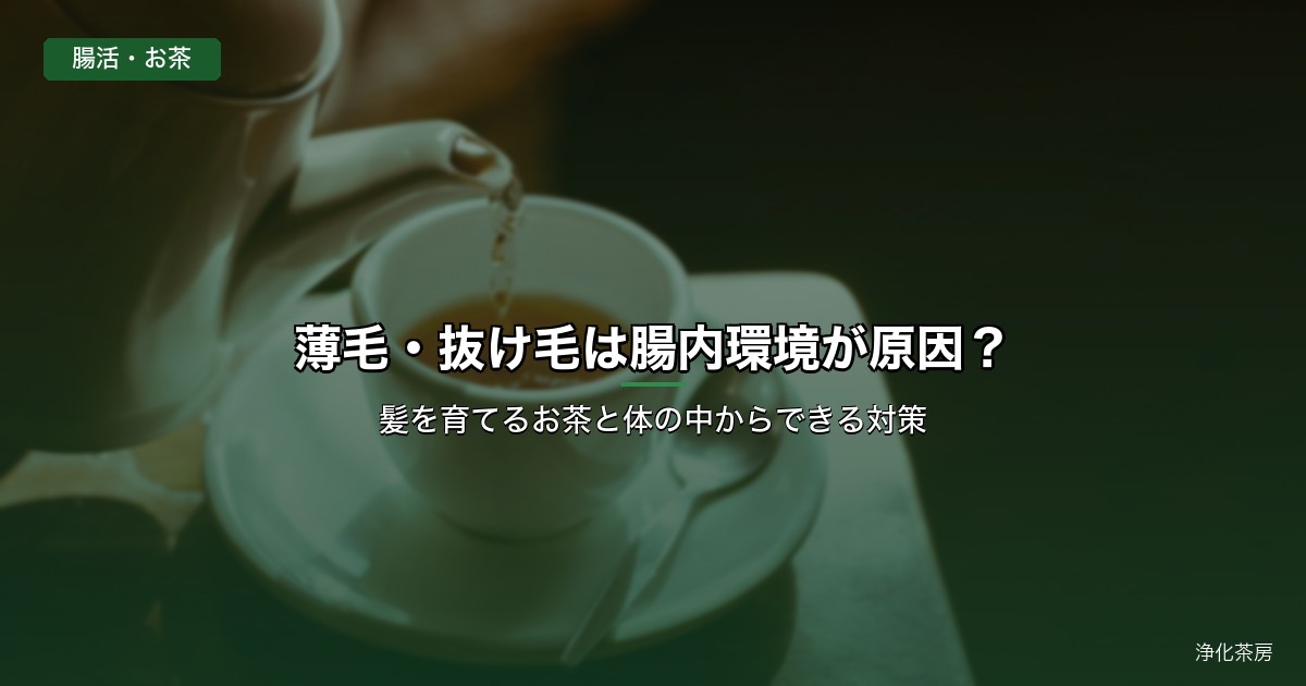 薄毛・抜け毛は腸内環境が原因？