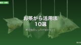 飲んだ後のティーバッグ捨てないで！お茶がら活用法10選｜よもぎ風呂からスキンケアまで