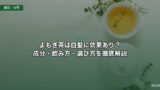 よもぎ茶は白髪に効果あり？成分・飲み方・選び方を徹底解説