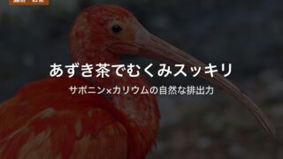 あずき茶でむくみスッキリ｜サポニン×カリウムの自然な排出力