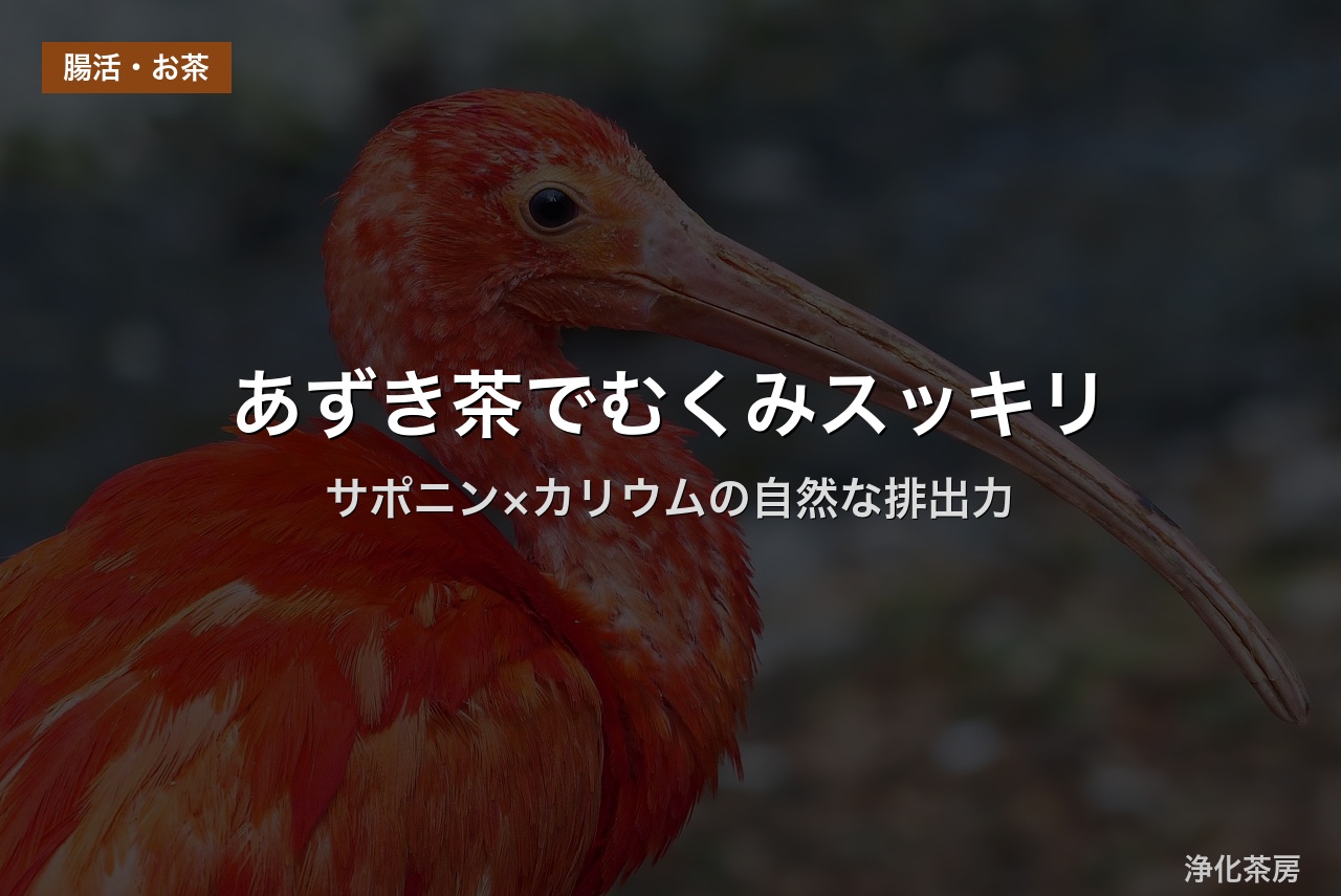 あずき茶でむくみスッキリ｜サポニン×カリウムの自然な排出力