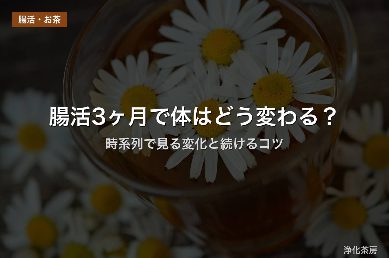 腸活3ヶ月で体はどう変わる？｜時系列で見る変化と続けるコツ