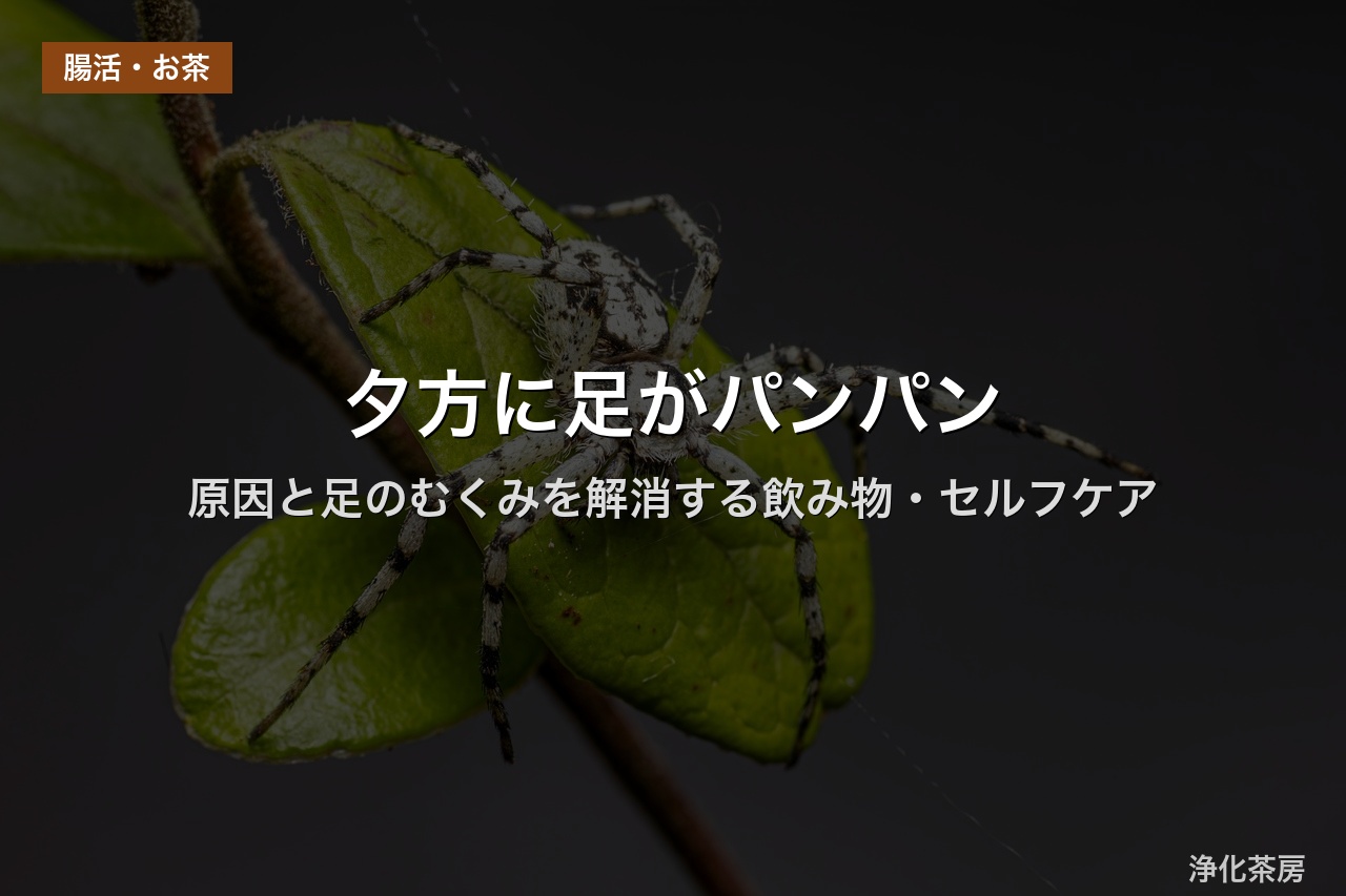 夕方に足がパンパン｜原因と足のむくみを解消する飲み物・セルフケア