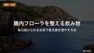 腸内フローラを整える飲み物｜毎日続けられるお茶で善玉菌を増やす方法