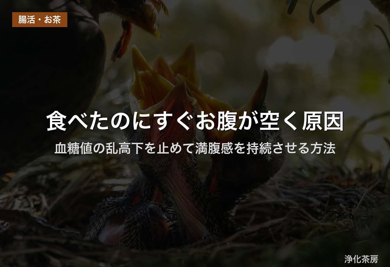 食べたのにすぐお腹が空く原因｜血糖値の乱高下を止めて満腹感を持続させる方法