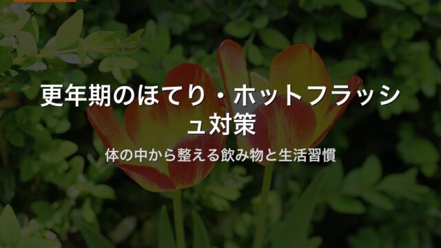 更年期のほてり・ホットフラッシュ対策｜体の中から整える飲み物と生活習慣