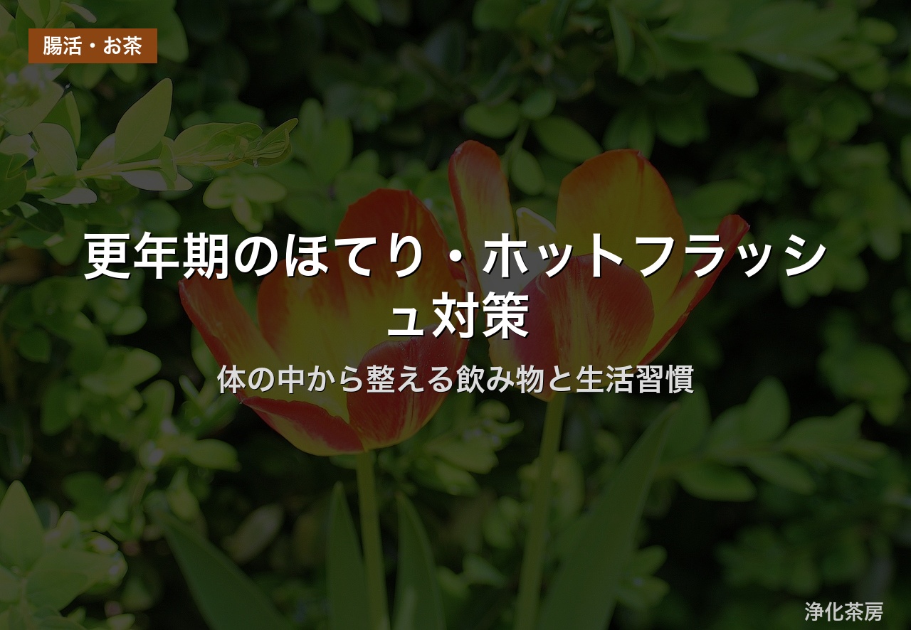 更年期のほてり・ホットフラッシュ対策｜体の中から整える飲み物と生活習慣