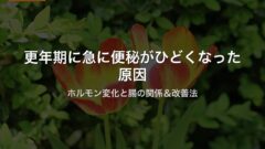 更年期に急に便秘がひどくなった原因｜ホルモン変化と腸の関係＆改善法