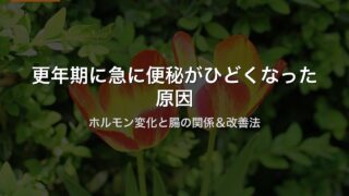 更年期に急に便秘がひどくなった原因｜ホルモン変化と腸の関係＆改善法