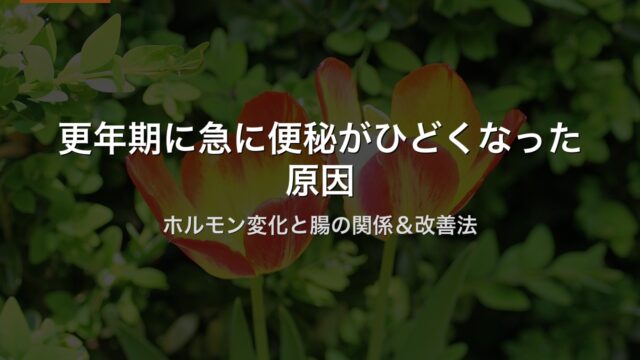 更年期に急に便秘がひどくなった原因｜ホルモン変化と腸の関係＆改善法