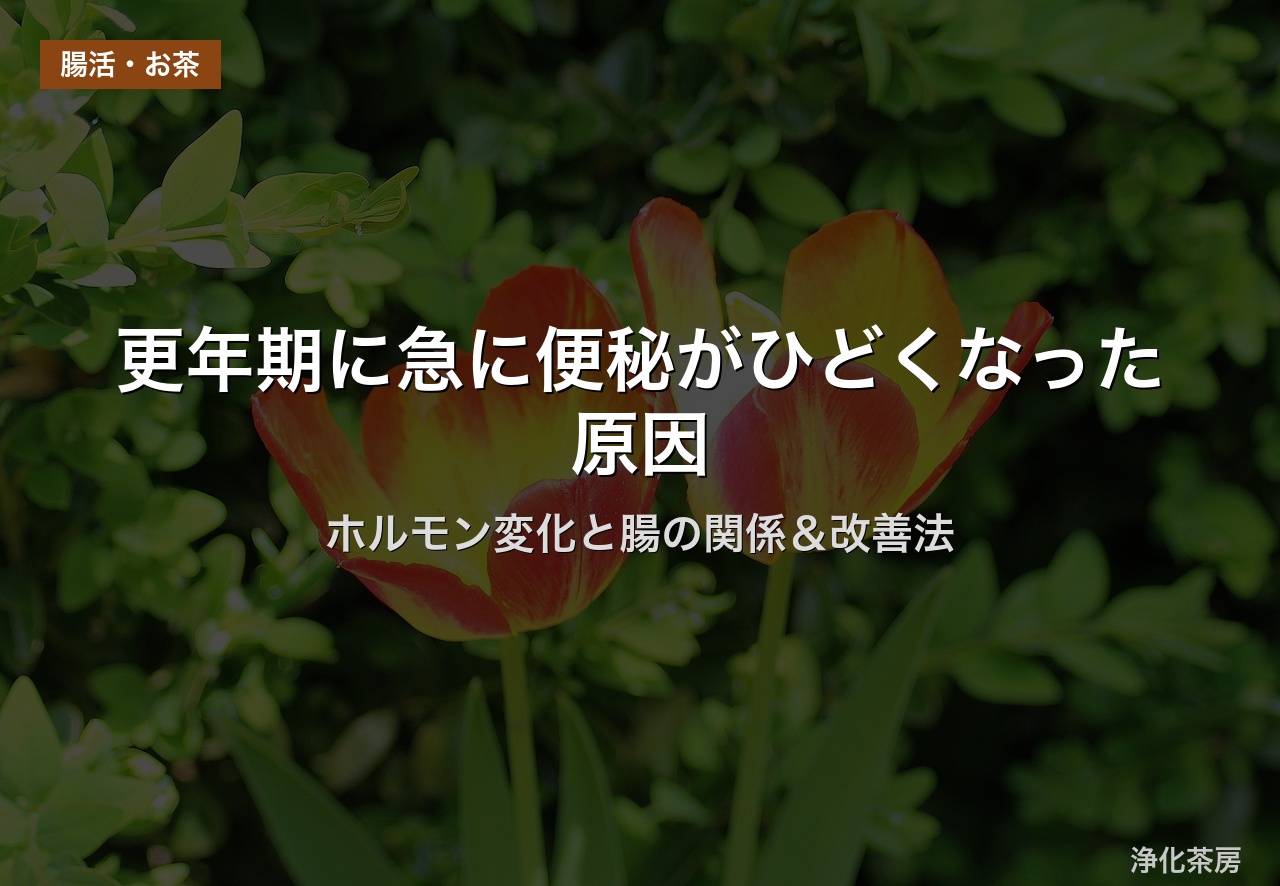 更年期に急に便秘がひどくなった原因｜ホルモン変化と腸の関係＆改善法