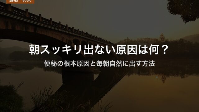 朝スッキリ出ない原因は何？｜便秘の根本原因と毎朝自然に出す方法