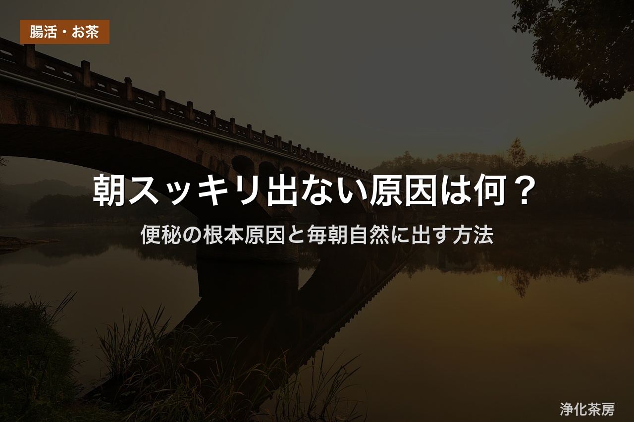 朝スッキリ出ない原因は何？｜便秘の根本原因と毎朝自然に出す方法