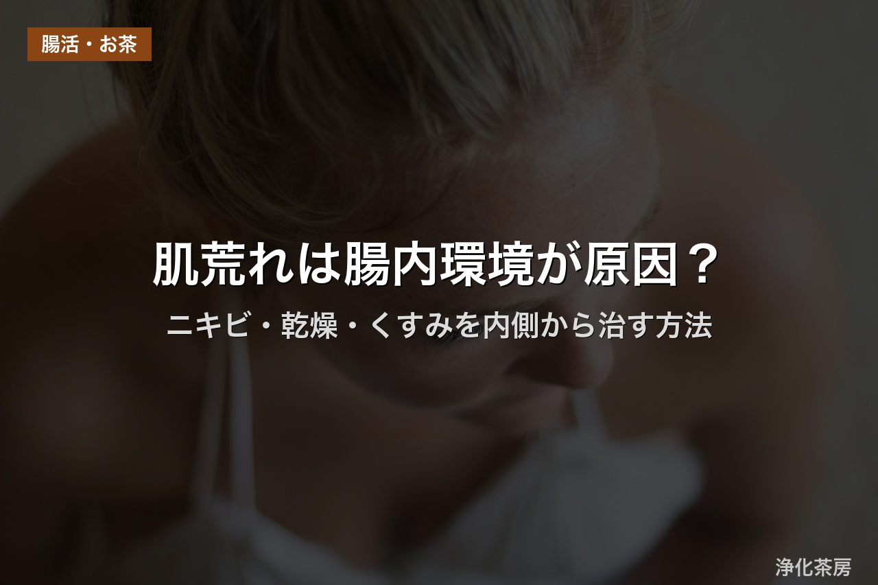 肌荒れは腸内環境が原因？｜ニキビ・乾燥・くすみを内側から治す方法