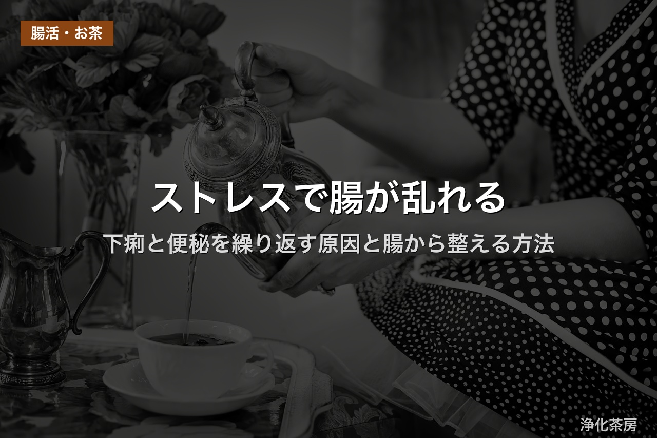ストレスで腸が乱れる｜下痢と便秘を繰り返す原因と腸から整える方法