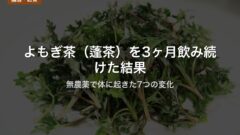 よもぎ茶（蓬茶）を3ヶ月飲み続けた結果｜無農薬で体に起きた7つの変化