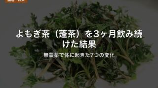 よもぎ茶（蓬茶）を3ヶ月飲み続けた結果｜無農薬で体に起きた7つの変化