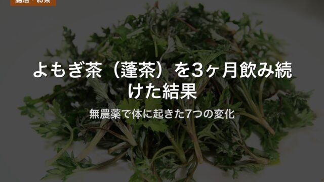 よもぎ茶（蓬茶）を3ヶ月飲み続けた結果｜無農薬で体に起きた7つの変化