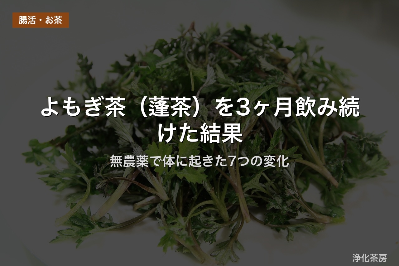 よもぎ茶（蓬茶）を3ヶ月飲み続けた結果｜無農薬で体に起きた7つの変化