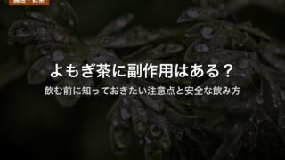 よもぎ茶に副作用はある？｜飲む前に知っておきたい注意点と安全な飲み方