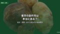 菊芋の副作用と安全な飲み方