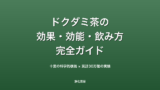 ドクダミ茶とは？効果・効能・副作用・飲み方を完全解説【十薬と呼ばれる理由】