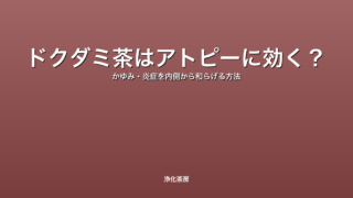 ドクダミ茶はアトピーに効く？｜かゆみ・炎症を内側から和らげる方法