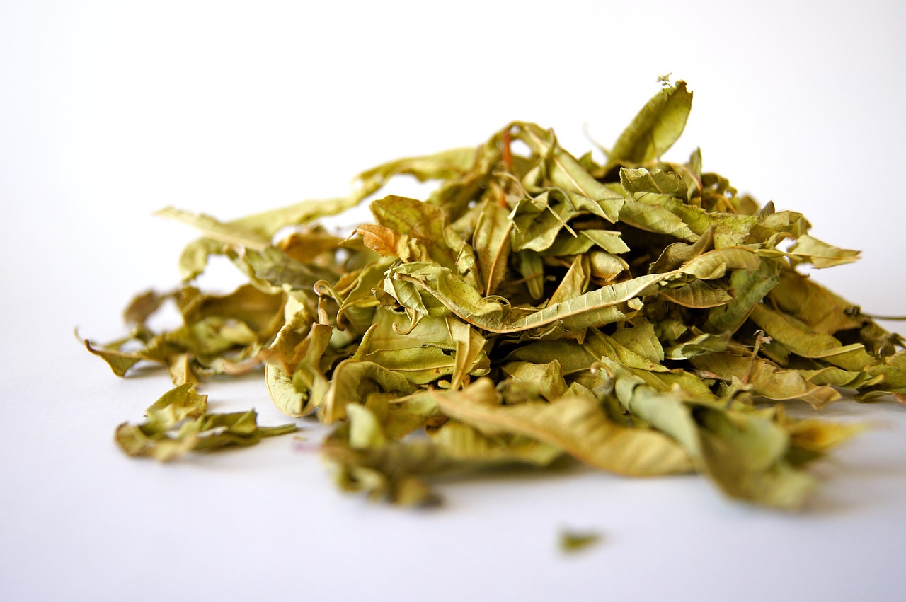 よもぎ・ドクダミ・あずき・菊芋の和漢茶葉