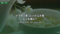 ドクダミ茶とハトムギ茶 管理栄養士比較