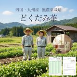 四国・九州産・無農薬栽培。つくっている二人と、検査の証