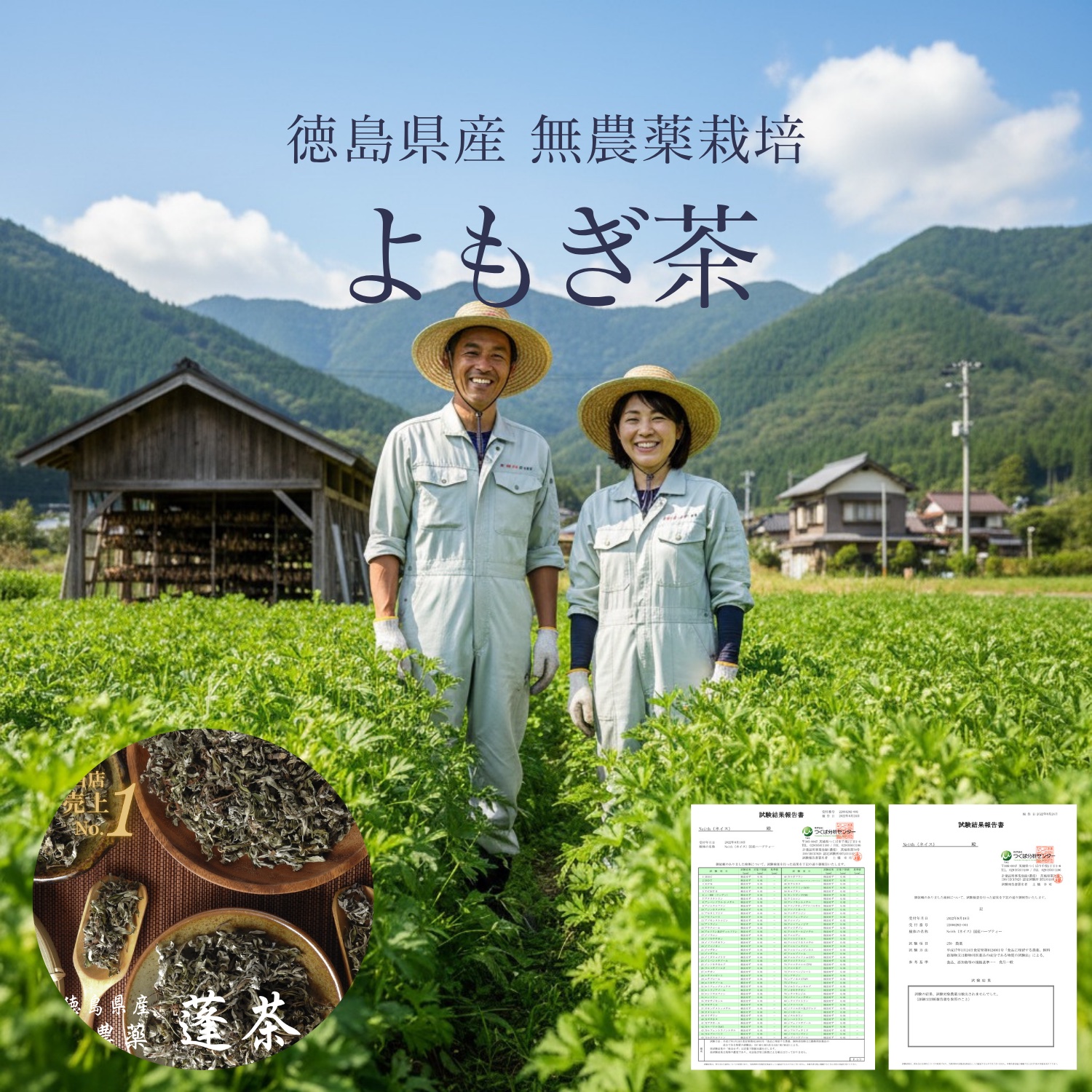 徳島県のよもぎ農家